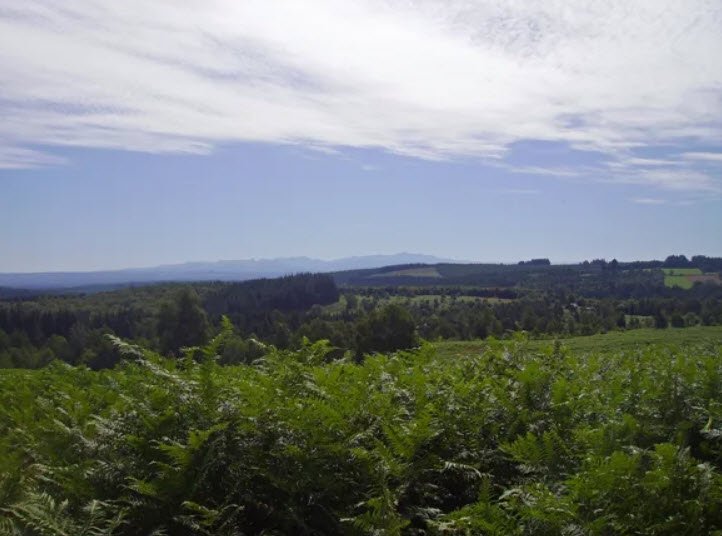 Arboretum du Massif des Agriers, Lamazière-Haute, France, France